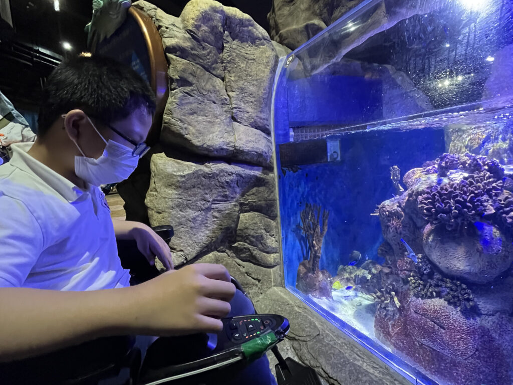 楊陽正在觀賞不同種類的海洋生物