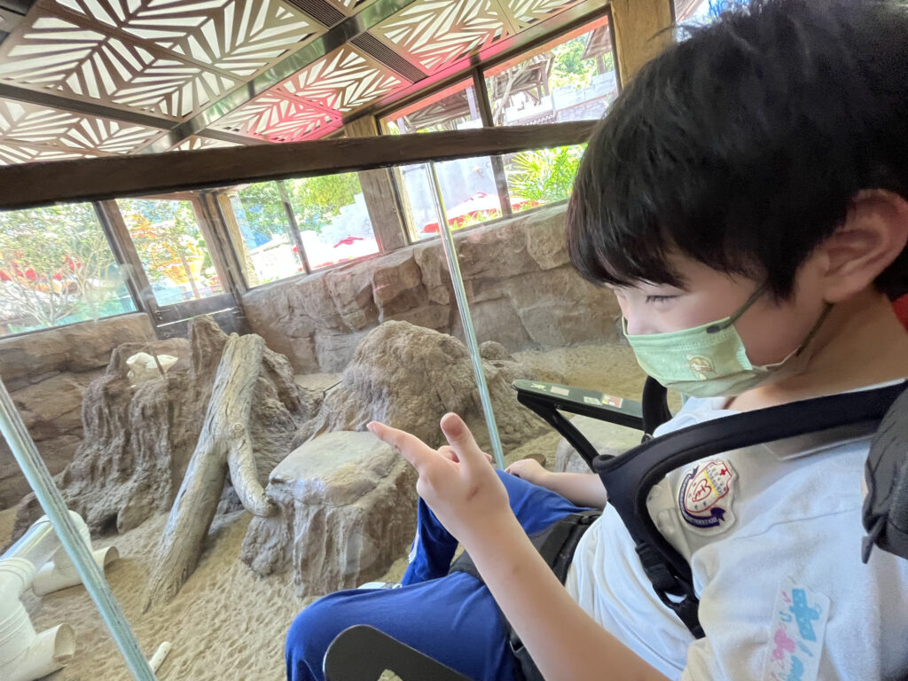 逸謙：找到動物了！