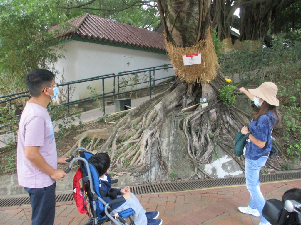 九龍公園的園藝義工跟同學們講解公園內植物的特性。
