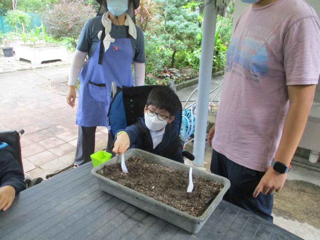 同學們參加園內的種植工作坊，把芬芳萬壽菊幼苗移至小花盆內。